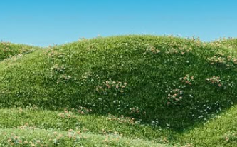 screenshot selection